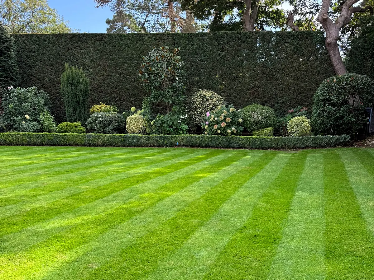tdg-formal-lawn-and-hedges
