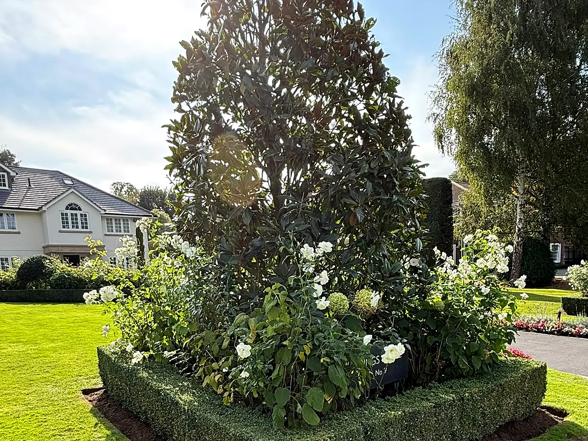 tdg-garden-feature-bed