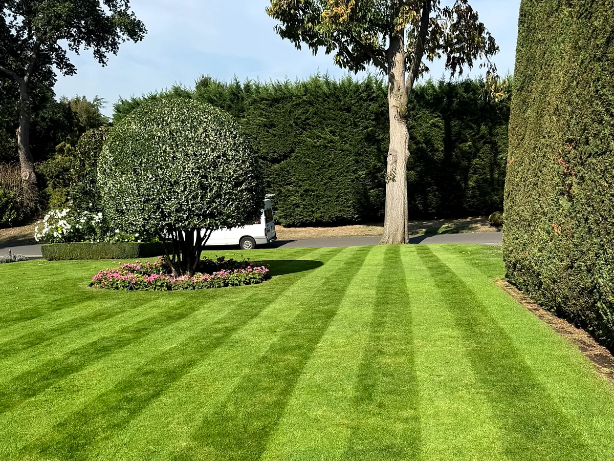 tdg-manicured-estate-lawn