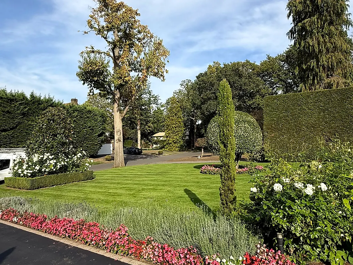 tdg-seasonal-garden-borders