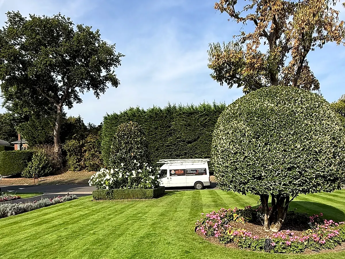 tdg-topiary-and-striped-lawn